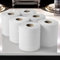 PackZone Centrefeed White Roll – 6 Pack, 2-Ply Embossed, High Absorbency Multipurpose Kitchen Towels, Dispenser-Friendly, Wiping Paper for Home, Office & Commercial Use