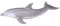 Collecta - Col88042 - Großer Delfin - M