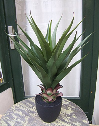 TOMENGBEIAABBCC Künstliche Agave getopft ca. 70cm Top-Qualität Kunstpflanze