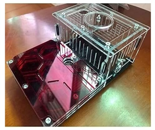Ameisennest Ameisenfarm Ameisenhaus Ameisenfarm Mit Schwarzer Grundfläche, Ameisenburg, Ameisennest Aus Acryl, Ameisenfarm, Ameisenverhalten Studieren, Die Welt Zu Hause Erkunden Ameisen Terrarium Ame