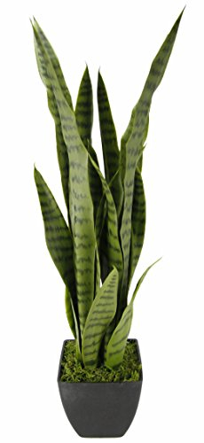 Flair Flower Sansevieria im Topf Bogenhanf Laurentii zeylanica Pflegeleichte Kunstpflanze Kunstblume Blume Zimmerpflanze künstlich Gross Kirkii Pflanze Moonshine, Grün, 75 x 15 x 15 cm, 151401GN