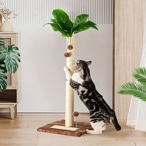 Leisuremix Poste rascador para gatos de sisal de 31.5 pulgadas de alto para gatos adultos de interior, poste grande de palmera con bolas colgantes, bonito poste rascador para gatos, juguete