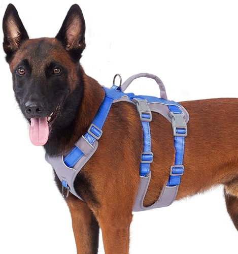 Huntboo Sicherheitsgeschirr Hund Ausbruchsicher, Panikgeschirr für Hunde, Reflektierendes Geschirr Hund mit Griff, Verstellbare Hundegeschirr für kleine, mittelgroße und große Hunde (Meeresblau,L)