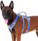 Huntboo Sicherheitsgeschirr Hund Ausbruchsicher, Panikgeschirr für Hunde, Reflektierendes Geschirr Hund mit Griff, Verstellbare Hundegeschirr für kleine, mittelgroße und große Hunde (Meeresblau,L)