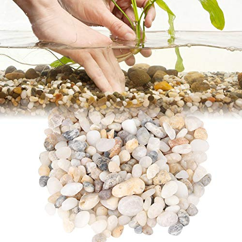TARSHYRY Aquariumsubstrat für Lebende Pflanzen, Dekorative Polierte Stones River Fels Aquarium Kies Dekorative Gesteine ​​für Topfpflanzen für Vasen, Aquarien, Terrarium und Gartenarbeit Im Freien