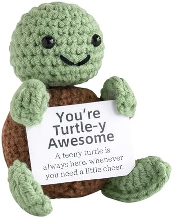 ALONK Positive Schildkröte, Handgemachte Schildkröte Deko, Kreative Turtle Positive Geschenke