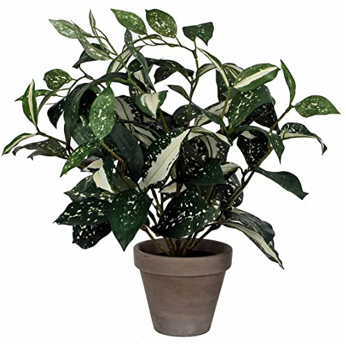 Mica decorations 966056 Keulenlilie in Stan Topf, Polyester, Gruen, 25 x 25 x 35 cm