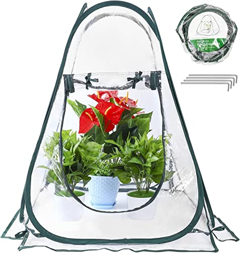 LATERN Carpa de Efecto Invernadero Emergente, Mini Casa de Cultivo PVC Habitación Garden Flower Sunshine Cubierta de Invernadero Portátil para Plantas de Jardín Cold Frost Protect (70 x 70 x 80cm)