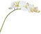HXSCOO Simulierter einzelner Zweig, taktiler Film, Schmetterling, Orchidee, Heimdekoration, Blumenarrangement, Hochzeitsdekoration, Simulationsblumen (Color : Yellow White)