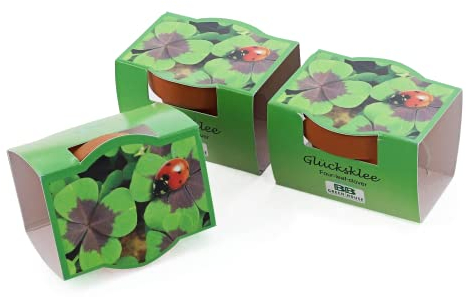 Bull & Bear 3er Set Mini-Pflanzset Glücksklee, Kleezwiebeln im Topf 4,5cm, vierblättrige Kleeblätter als Anzuchtset mit Pflegeanleitung