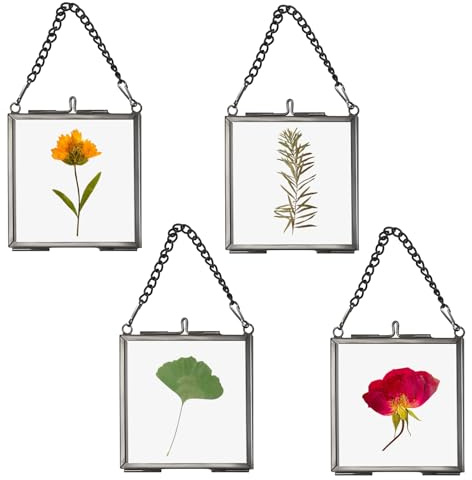 SUMTree Set of 4 Black Glass Hanging Photo Picture Display Frame, 7 * 7cm | Golden Small Photo Frames, Floating Glass Picture Frame with Chain for Family Tree, Mini Photo Pressed Flower, Collage, etc