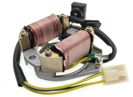 WKAIYUAN For DY100 AC 2 50cc 90cc 110cc 125cc ATV Quad Dirt Bike Scooter Gokart Buggy Ignition Coil Stator Generator