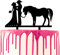 CARISPIBET Wedding Cake Topper Western Theme Marriage Farm Cottage Farmhouse Cowboy Groom Cowgirl Bride Acrylic cake decorative
