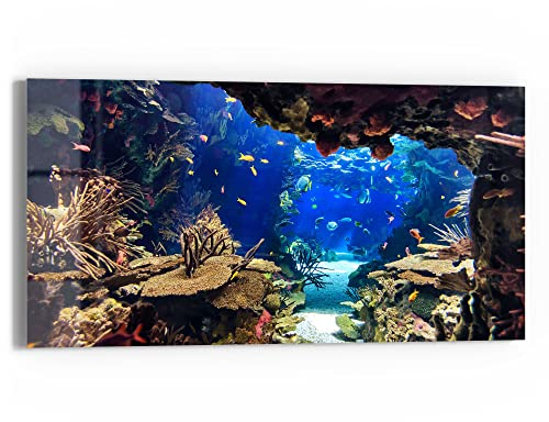 DEQORI Glasbild Echtglas | Motiv Exotisches Aquarium | horizontal einteilig 60x30 cm | schöne Dekoration | Wandbild für Wohnzimmer, Schlafzimmer, Flur & Küche | moderne Wanddeko