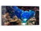 DEQORI Glasbild Echtglas | Motiv Exotisches Aquarium | horizontal einteilig 60x30 cm | schöne Dekoration | Wandbild für Wohnzimmer, Schlafzimmer, Flur & Küche | moderne Wanddeko
