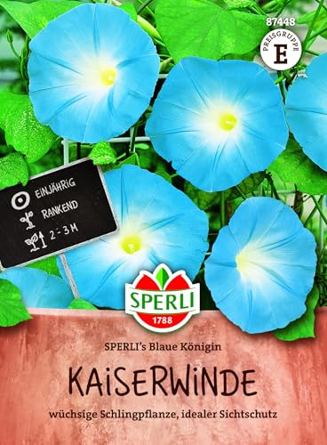 Sperli Kaiserwindensamen SPERLI's Blaue Königin 87448, Saatgut | Schnellwüchsige Kletterpflanze mit leuchtend blauen Blüten, Rankhilfe, Topf und Kübel, 1 Portion, einjährig