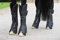 Bucas Freedom Boots schwarz Transportgamaschen, Größe:Full