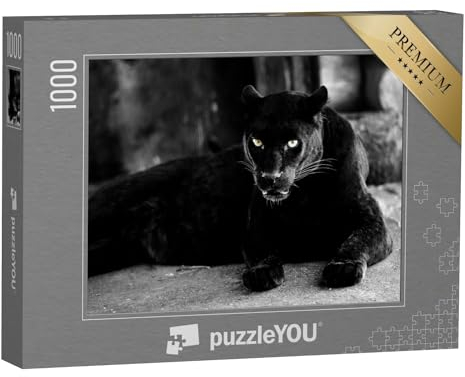 puzzleYOU: Puzzle 1000 Teile „Schöner schwarzer Panther: eine Großkatze“ – aus der Puzzle-Kollektion Panther, Raubtiere, Tiere in Dschungel & Regenwald