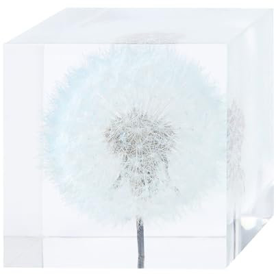 Ferma Carte Soffione Reale, Globo in Resina con Fiore Conservato e Base Luminosa USB, Luce Notturna Decorativa per Casa, Ufficio, Regalo Amici(Blue)