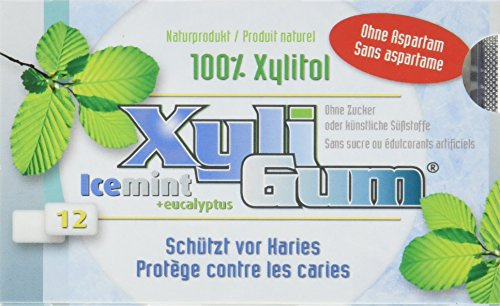 Birkengold Xyligum Icemint (12 Stück), 3er Pack (3 x 15 g)