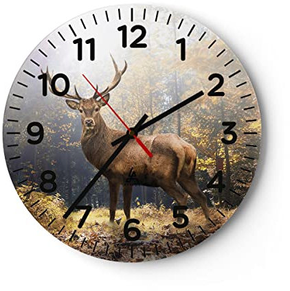 Modern Wanduhr Licht Hirsch Wald 40x40cm Rund Groß Wand Uhr Glas Analog Zimmeruhren Küche Büro Wohnzimmer Glasuhr Wall Clock Dekoration Design Wanddekoration Küchenuhr C4AR40x40-4452