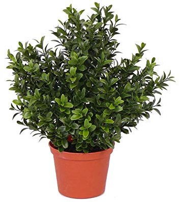 Pianta di bosso artificiale con 144 foglie, resistente ai raggi UVA, in seta