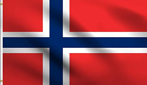 DMSE Norwegische Skandinavische Flagge Norwegens mit Kreuz-Flagge, 90 x 150 m, 100% Polyester, 100 D Flagge, UV-beständig 2' X 3' Ft Foot 2' X 3' Ft Foot