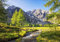 wandmotiv24 Fototapete Berge Bach Bäume Wald, XL 350 x 245 cm - 7 Teile, Wanddeko, Wandbild, Wandtapete, Alpen Tirol Himmel Steine M6753