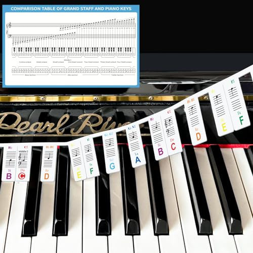 Basic Music Theory Poster Set, Piano Keyboard and Staff Guide and Colorful Piano Keyboard Sheet Music Labels (labels and theory poster)