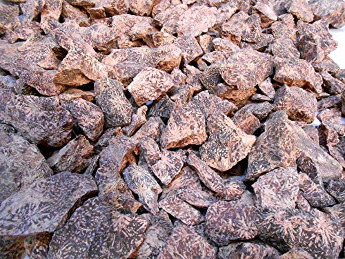 Rockhound's 1st Choice Rock Tumbler Gem Refill Kit -Mexico Star Burst Spider Jasper Rough- 8oz New!