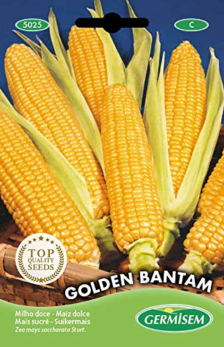 Germisem Mais GOLDEN BANTAM, mehrfarbig, EC5025