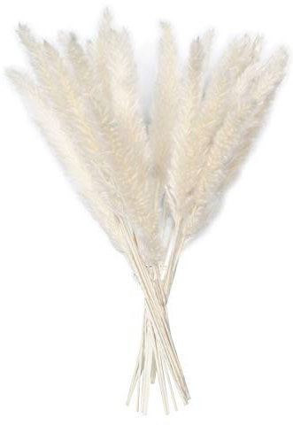 YIWOYI 15 x natürlich getrocknetes Schilfgras, flauschige Pampasgras-Blume, Pampasgras, künstlich, Vase, Türkranz, Dekoration für Zuhause und Küche (B)