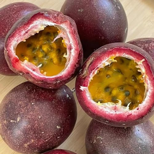 100 pcs passionsfrucht samen winterhart, geschenke für gartenfreunde, biosaatgut passionsfrucht pflanze - Passiflora edulis - garten geschenk, indoor plants obst, pflanzen balkonpflanzen