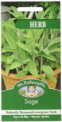 Mr Fothergill's 25591 Herb Seeds, SAGE