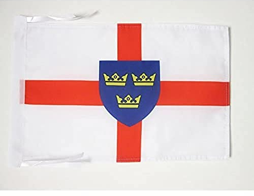 AZ FLAG East Anglia Flag 45x30 cm 100D Polyester Cords | Indoor and outdoor use 12x18 in decorative flag double stitched seams and reinforced edges with ties