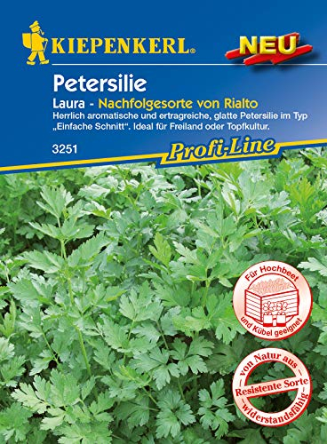 Petersilie Laura, herrlich aromatische und ertragreiche glatte Petersilie im TypEinfache Schnitt, Freiland oder Topfkultur