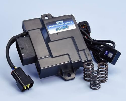 Steuergerät ECM POLINI VESPA SPRINT PRIMAVERA 50 4T 3V iGET EURO5 2021-22 LIBERTY 50 4T iGET 3V ie Euro5 2021-2022