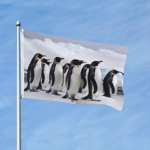 Flagge, 90 x 152 cm, doppelseitige Flagge, Antarktis, Pinguine, Allwetterflaggen für Hof, Outdoor-Dekoration, Urlaubsbanner
