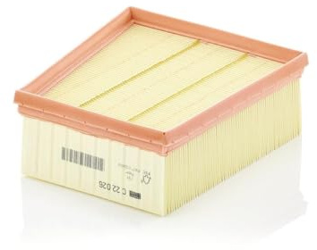 MANN-FILTER, C 22 026 Luftfilter | Für PKW, Saubere Luftzufuhr, Langlebiges Filtermedium, Passgenaues Design, Echte OE-Technologie
