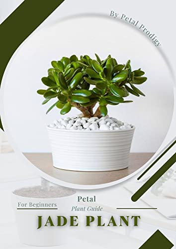 Jade Plant: Prodigy Petal, Plant Guide