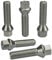 HASKYY 10 Radschrauben I M12x1,25x24mm Kegelbund Kegel I Zink Silber I I SW 17mm I