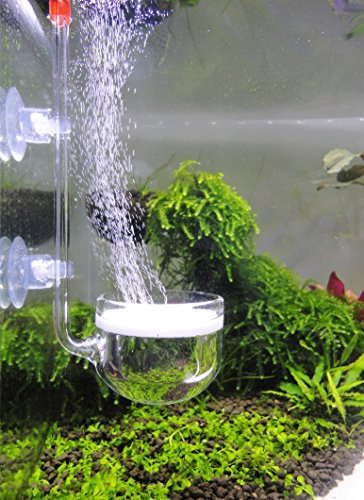 Musik Glas CO2 Diffusor für Aquarium Pflanze (Φ40mm)