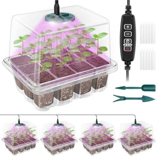 Qoolife Invernadero de interior, juego de cultivo de mini invernadero con tapa elevada, arrancador con luces para plantas, con 4 unidades (transparente)