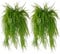 YMIFEEY 6Pcs 80cm Plantas Artificiales Colgantes Hiedra Helecho Plantas Colgantes Artificiales Realistas Plantas Artificiales Decorativas Pared Planta de Plastico para Interiores Exteriores (6)