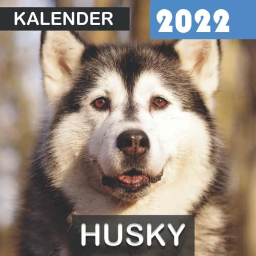 Husky Kalender 2022: Geschenke für Freunde und Familie mit 12 Monaten