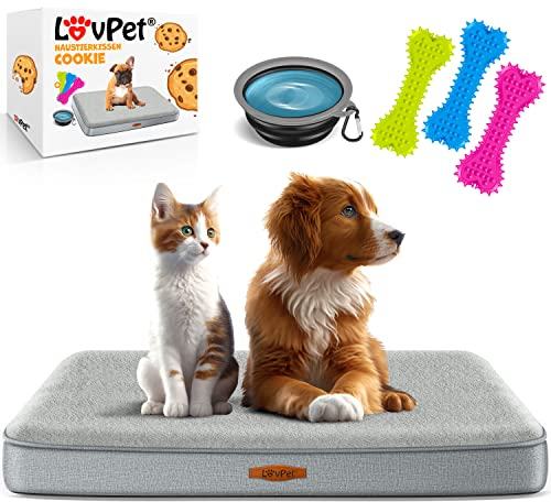 Lovpet® Hundebett orthopädisches Hundekissen Hundekorb Cookie, Inkl. Napf + 3X Kauknochen, Hundesofa für Kleine, Mittelgroße & Große Hunde, Bezug abnehmbar und waschbar, M 76x51x7,6 cm Grau