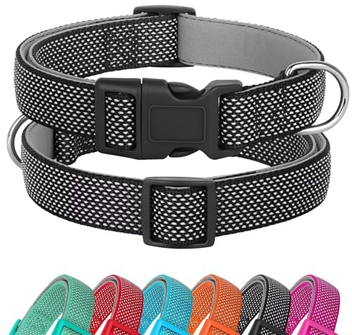 Didog Reflektierendes Hundehalsband mit Schnalle, verstellbar, weiches Neopren, gepolstert, Nylon, Haustierhalsbänder für kleine, mittelgroße und große Hunde, Schwarz, M