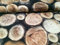 HomeBuy Holzscheit, Polsterstoff, Vorhangstoff, Baumwollstoff, Holzscheite, Digitaldruck, 280 cm extra breit, Meterware