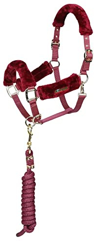 ARMA - Halfter und Führstrick (Pony) (Bordeaux), bordeaux, Poney