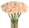 INSUNSIX Nelken, künstliche Blumen, Nelken, Seidenblumen, Champagnerblumen, 54 cm, künstliche Blumen für Hochzeit, Zuhause, Tischdekoration, Blumenarrangements (Champagner), 15 Stück
